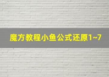 魔方教程小鱼公式还原1~7