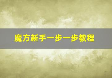 魔方新手一步一步教程