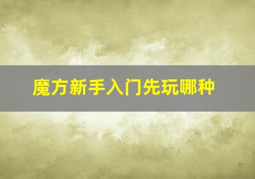 魔方新手入门先玩哪种