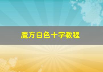 魔方白色十字教程