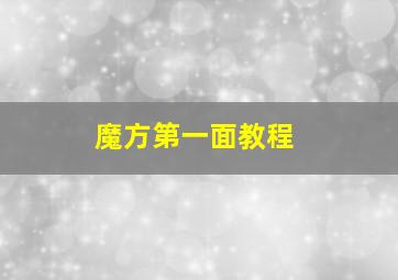 魔方第一面教程