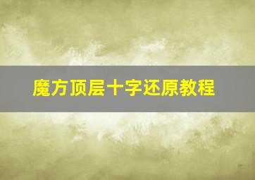 魔方顶层十字还原教程