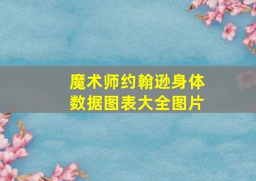 魔术师约翰逊身体数据图表大全图片