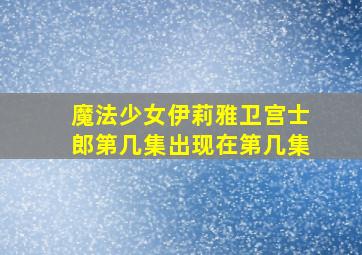 魔法少女伊莉雅卫宫士郎第几集出现在第几集