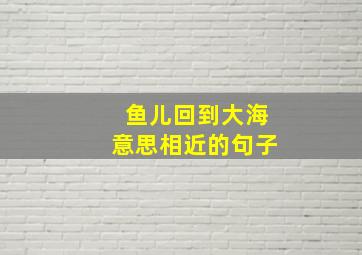 鱼儿回到大海意思相近的句子