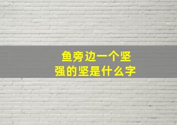 鱼旁边一个坚强的坚是什么字