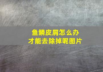 鱼鳞皮屑怎么办才能去除掉呢图片