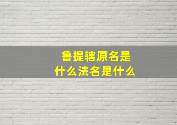 鲁提辖原名是什么法名是什么