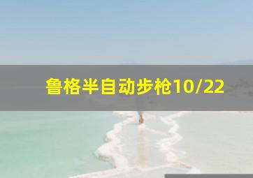 鲁格半自动步枪10/22