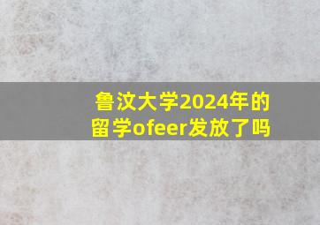 鲁汶大学2024年的留学ofeer发放了吗