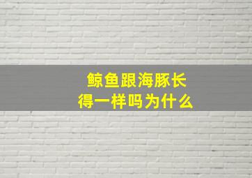 鲸鱼跟海豚长得一样吗为什么