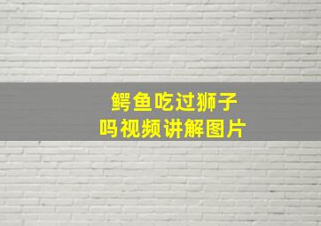 鳄鱼吃过狮子吗视频讲解图片