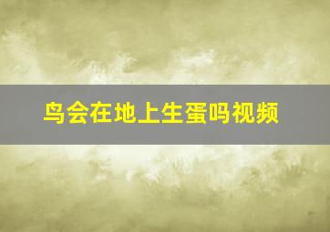 鸟会在地上生蛋吗视频