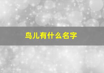 鸟儿有什么名字