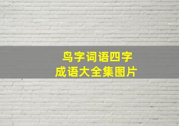 鸟字词语四字成语大全集图片