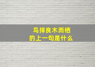 鸟择良木而栖的上一句是什么