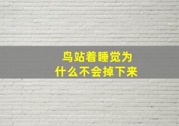 鸟站着睡觉为什么不会掉下来