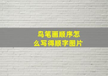 鸟笔画顺序怎么写得顺字图片