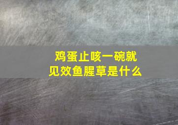 鸡蛋止咳一碗就见效鱼腥草是什么