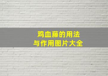 鸡血藤的用法与作用图片大全