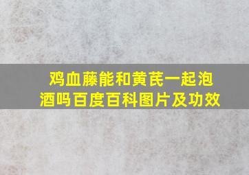 鸡血藤能和黄芪一起泡酒吗百度百科图片及功效