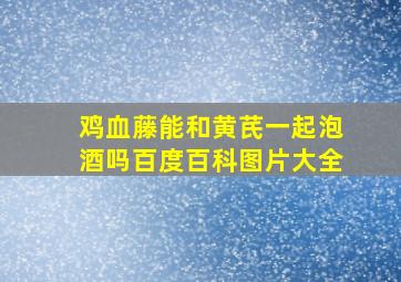 鸡血藤能和黄芪一起泡酒吗百度百科图片大全