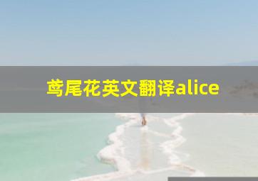 鸢尾花英文翻译alice