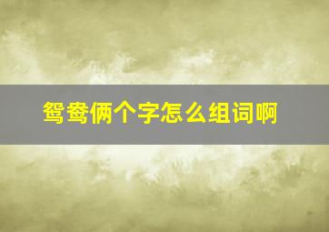 鸳鸯俩个字怎么组词啊