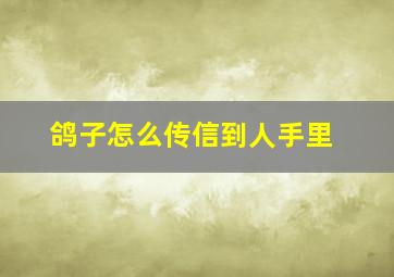 鸽子怎么传信到人手里