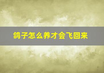 鸽子怎么养才会飞回来