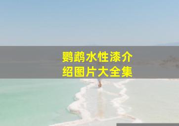 鹦鹉水性漆介绍图片大全集