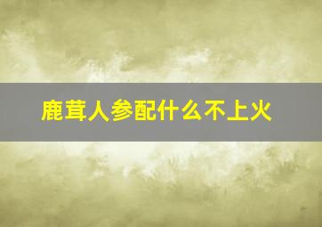 鹿茸人参配什么不上火