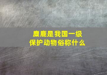 麋鹿是我国一级保护动物俗称什么