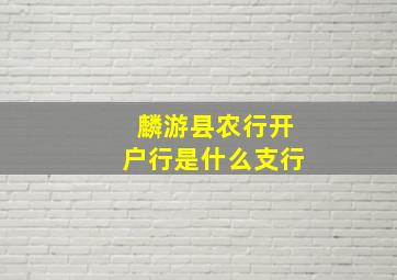 麟游县农行开户行是什么支行