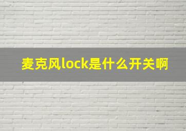 麦克风lock是什么开关啊