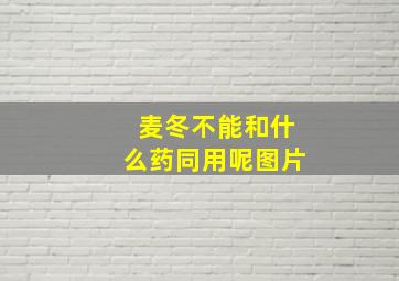 麦冬不能和什么药同用呢图片