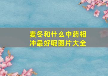 麦冬和什么中药相冲最好呢图片大全