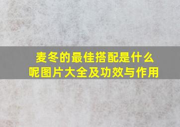 麦冬的最佳搭配是什么呢图片大全及功效与作用