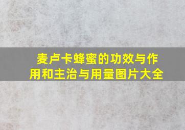 麦卢卡蜂蜜的功效与作用和主治与用量图片大全