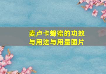 麦卢卡蜂蜜的功效与用法与用量图片