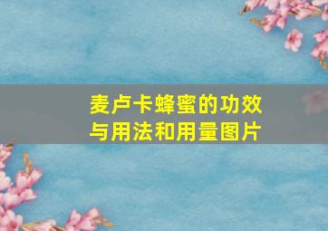 麦卢卡蜂蜜的功效与用法和用量图片