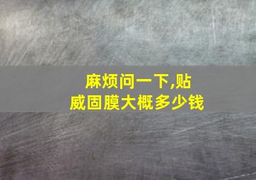 麻烦问一下,贴威固膜大概多少钱