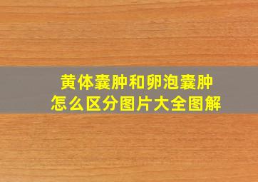 黄体囊肿和卵泡囊肿怎么区分图片大全图解