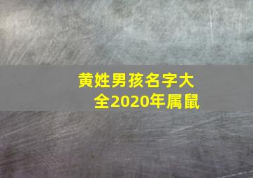 黄姓男孩名字大全2020年属鼠