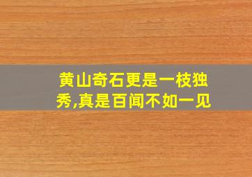 黄山奇石更是一枝独秀,真是百闻不如一见