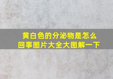 黄白色的分泌物是怎么回事图片大全大图解一下