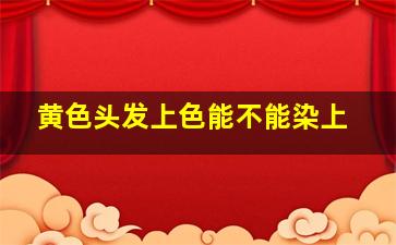 黄色头发上色能不能染上