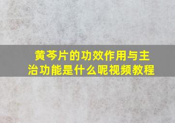 黄芩片的功效作用与主治功能是什么呢视频教程