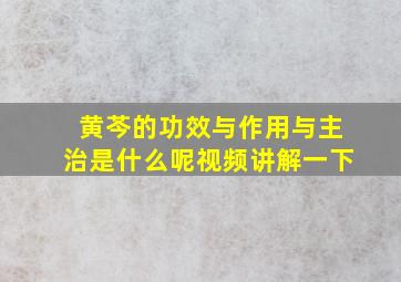 黄芩的功效与作用与主治是什么呢视频讲解一下