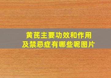 黄芪主要功效和作用及禁忌症有哪些呢图片